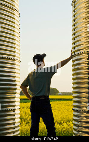 Grain storage bins and farmer  with canola field in the background, near Dugald, Manitoba, Canada Stock Photo