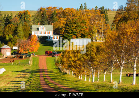 Pownal, Prince Edward Island, Canada Stock Photo