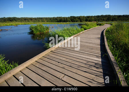 Boardwalk at Burnaby Lake Regional Park, Burnaby, British Columbia, Canada Stock Photo