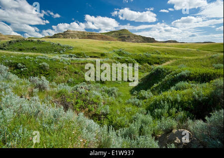 Killdeer Badlands, East Block, Grasslands National Park, Saskatchewan, Canada Stock Photo