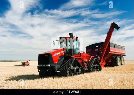 Close up of tractor and grain wagon, a combine harvests durum wheat in the background, near Ponteix, Saskatchewan, Canada Stock Photo