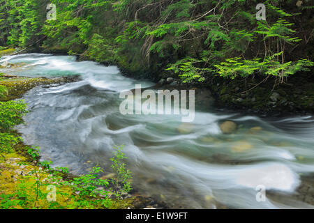 Brandywine Creek, Brandywine Falls Provincial Park, British Columbia, Canada Stock Photo
