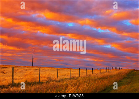 Rural landscape at sunset, Grande Prairie, Alberta, Canada Stock Photo