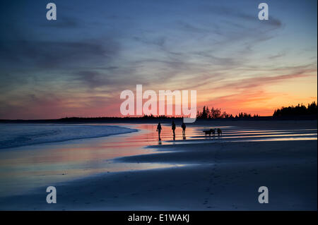 Dog Walkers at Sunset, Cherry Hill Beach, near Mill Village, Nova Scotia, Canada Stock Photo