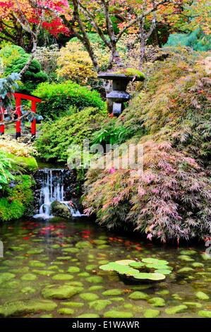 The Japanese Garden at Butchart Gardens in Victoria, BC., Canada Stock Photo