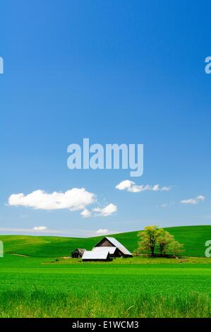 An old barn and farmland in the Palouse region of Washington State, USA. Stock Photo