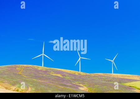 Wind turbines on a hill in South East Washington State, USA. Stock Photo