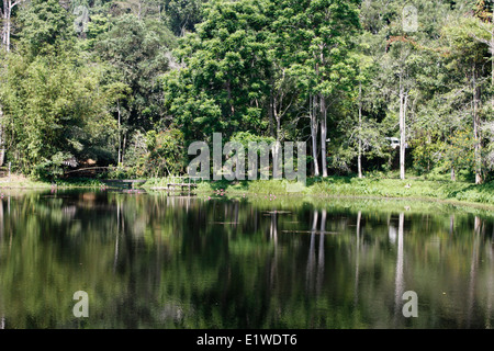 Entrance of the Khao Phra Thaeo National Park, Phuket, Thailand Stock Photo