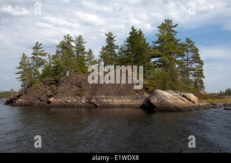 Eastern White Pine (Pinus strobus) on Canadian Shield igneous rock, Saganaga Lake, northern Minnesota, United States of America Stock Photo