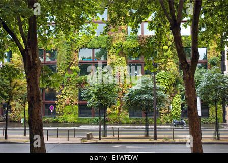 The vertical garden at the Musée du Quai Branly. Creation of Patrick Blanc. Stock Photo