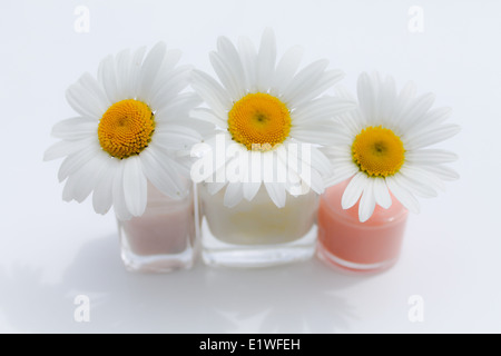 three white daisies in nail varnish pots Stock Photo