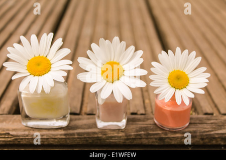 three daisies growing in nail varnish pots in the garden, on the decking Stock Photo