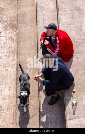 Two men sit on concrete steps passing the time of day with 'Mans best friend'. Stock Photo