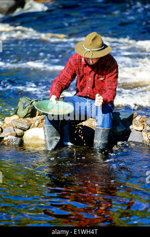 prospector panning for gold in River, Thunder Bay, Northern Ontario, Canada Stock Photo