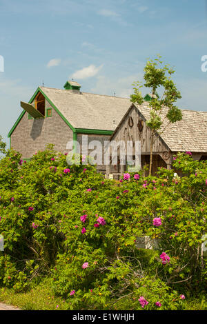 Barns, Avonlea Village of Anne of Green Gables, Prince Edward Island, Canada Stock Photo