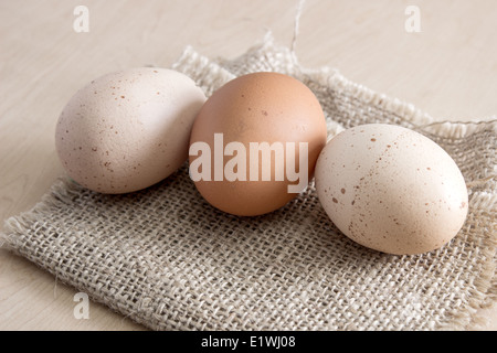 speckled chicken eggs on sack, rustic style Stock Photo