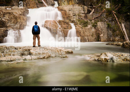 A man admires the Lower Myra falls in Strathcona Provincial Park, Vancouver Island, BC. Model release signed. Stock Photo