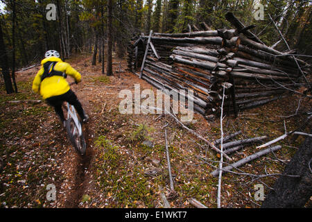 A male mountain biker passes  by an old trapper cabin while riding the trails in Whitehorse, Yukon during autumn. Stock Photo