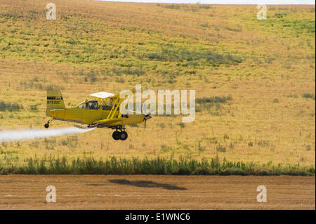 Crop duster in the palouse region of idaho.IDAHO USA Stock Photo