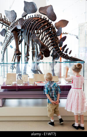 Girl and boy looking at dinosaur fossils at Royal Ontario Museum, Toronto, Ontario, Canada Stock Photo