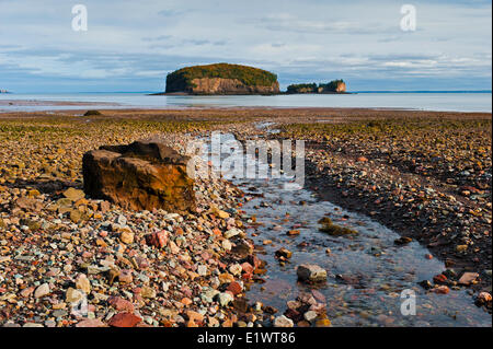 Bay of Fundy at low tide.  The Brothers Islands located off Clarke Head in the Minas Basin, Nova Scotia. Canada. Stock Photo