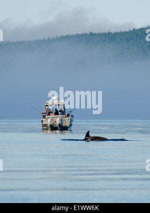 Fishing boat in Johnstone Strait Vancouver island Canada Stock Photo ...