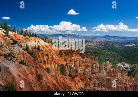 Landscape photo in Bryce Canyon Utah Fine art photography Stock Photo