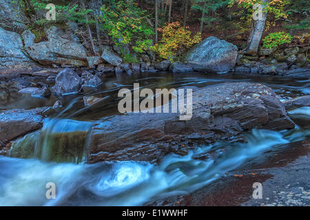 The Oxtongue River flowing through Algonquin Park with the autumn colours lining the banks. Stock Photo