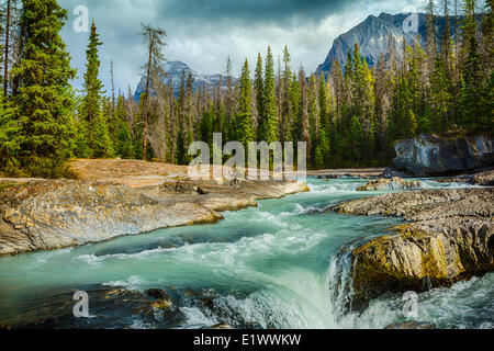 The Natural Bridge, Kicking Horse River, Yoho National Park, British Columbia, Canada Stock Photo