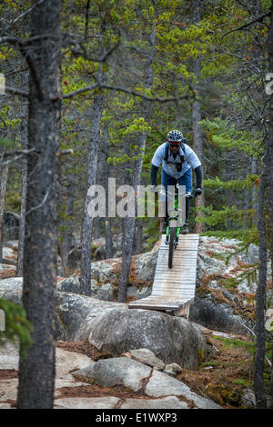 A male mountain biker rides the amazing trails of Carcross, Yukon during the fall colors. Stock Photo