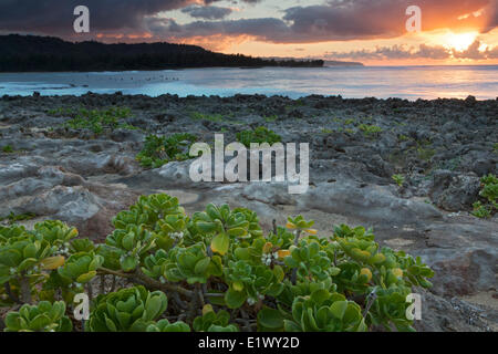 Sunset at Turtle Bay, Oahu, Hawai'i, United States of America Stock Photo
