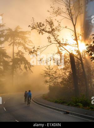 Bicycling in fog. Stanley Park Drive. Stock Photo