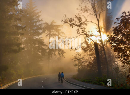Bicycling in fog. Stanley Park Drive. Stock Photo