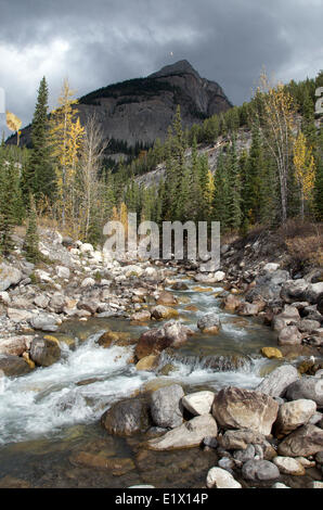 Mountain stream flowing over rocks with autumn leaves. Stock Photo