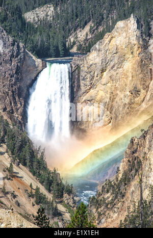The Lower Falls of Yellowstone Park tumbling into Yellowstone River, Yellowstone Park, Wyoming, USA Stock Photo