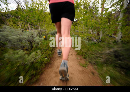 Woman trail running the Middle Fork Falls trail in Sinks Canyon. Lander, Wyoming. USA Stock Photo