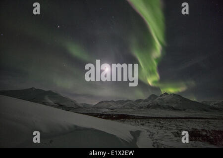 Northern lights or aurora borealis above the snow covered tundra along the Dempster Highway, Yukon. Stock Photo