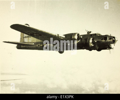 97th Bombardment Group; 15th Air Force; 99th; B-17s Stock Photo