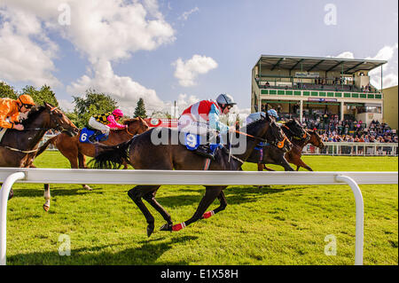 Salisbury Racecourse is a flat racecourse in the United Kingdom featuring thoroughbred horse racing, 3 miles southwest of Salisbury, Wiltshire, England. Fifteen race meetings a year are held there between early May and mid-October. Stock Photo