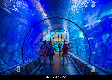 The Shark Reef Aquarium at Mandalay Bay hotel and casino in Las Vegas Stock Photo