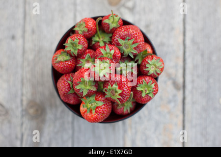 A bowl of Polish strawberries is seen. Stock Photo