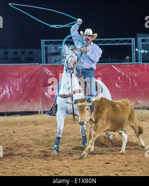 Cowboy Participating in a Calf roping Competition at the Clark County Fair and Rodeo  in Logandale Nevada Stock Photo