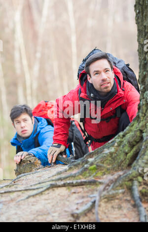 Male hikers trekking in forest Stock Photo - Alamy