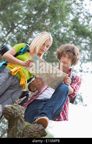 Low angle view of hiking couple reading map together in forest Stock Photo