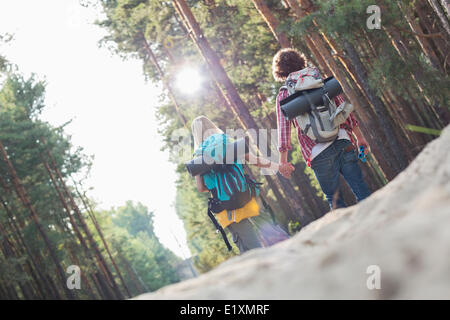 Rear view of hiking couple holding hands while walking in forest