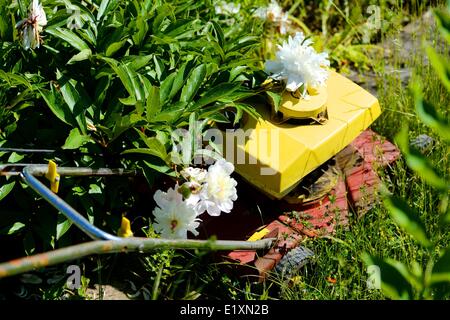 A lawn mower in a garden in germany, 06. June 2014. Photo: Frank May