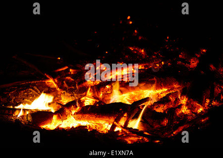 burning eucalyptus wood in an intense camp fire los pellines chile Stock Photo