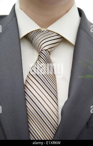 groom's tie Stock Photo