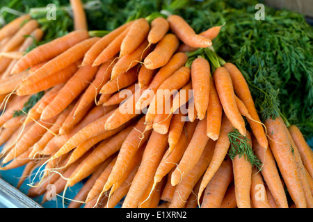 Bunch of organic carrots on sale market stall Stock Photo