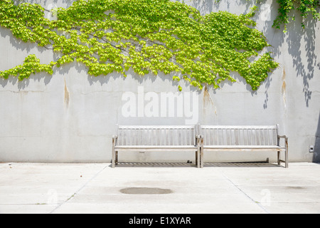 Two wooden benches in front of the forest during winter with lots of ...